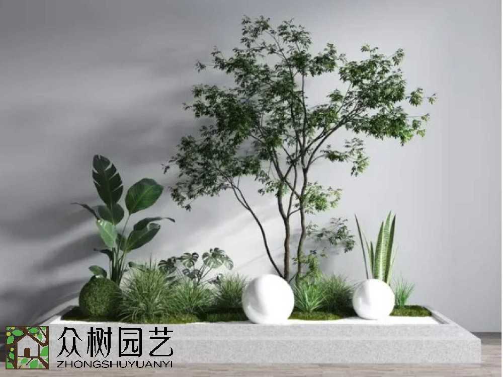 蘇州綠植租賃怎么選？一文帶你避坑