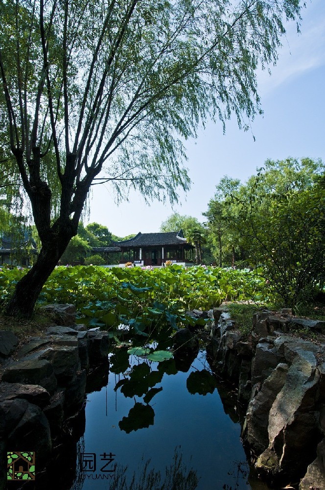 蘇州圖書(shū)館綠植租擺價(jià)錢(qián)解讀：打造生態(tài)舒適閱讀空間的秘密武器