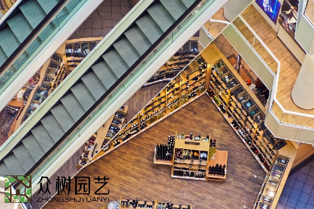蘇州商場(chǎng)綠植租擺廠商：綠色美學(xué)的革命者，商場(chǎng)美學(xué)改變者